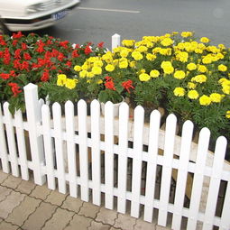 河北衡水安平縣迪森絲網廠 盆景種植的優質合作伙伴
